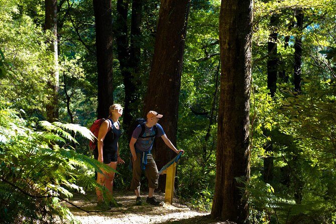 Discover Picton: Self-Guided Audio Tour - FAQs
