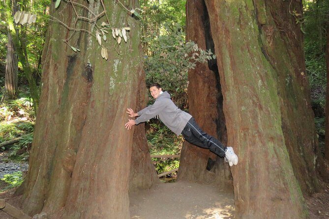 Discover Point Reyes National Seashore & Muir Woods Redwoods - FAQs
