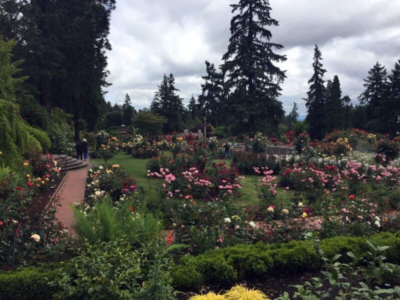 Discover Portland: Half-Day Small Group City Tour - Final Thoughts