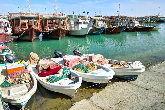 Discover Qatars Hidden Gems: North & West Coast Private Tour - Final Thoughts
