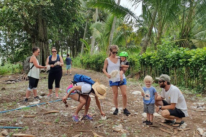 'Discover' Rarotonga Cycling Tour with Lunch - The Experience Breakdown: What to Expect