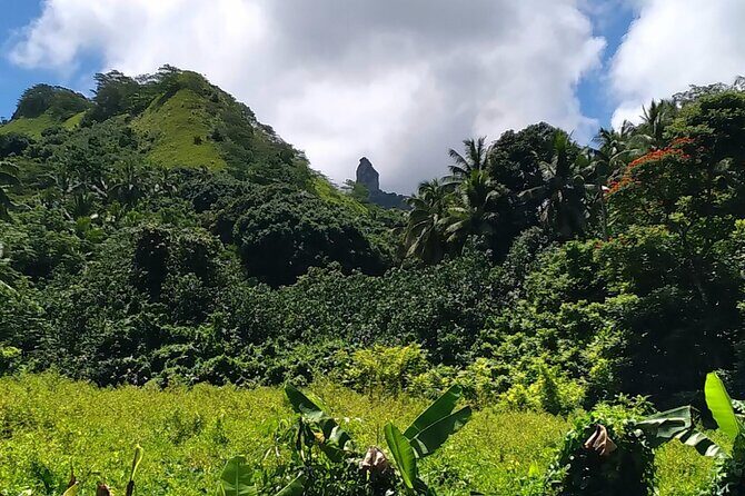 'Discover' Rarotonga Cycling Tour with Lunch - Who Is This Tour Best Suited For?