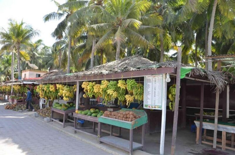 Discover Salalah City, History, Nature, Culture - Who Will Love This Tour?