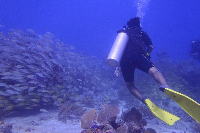 Discover Scuba - An In-Depth Look at the Discover Scuba Experience