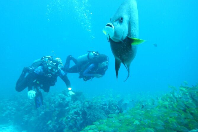 Discover Scuba - The Sum Up
