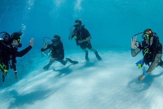 Discover Scuba Dive in Curacao - The Sum Up: Who Will Love This?