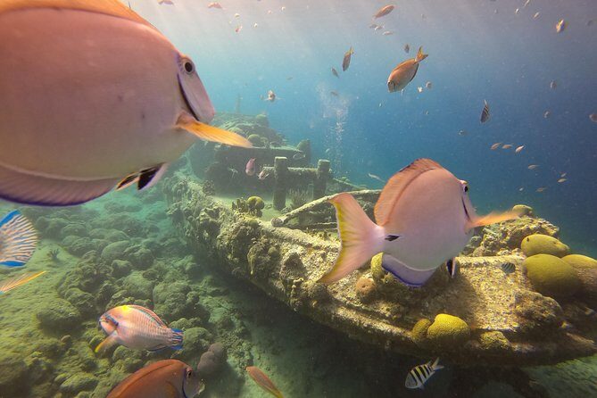 Discover Scuba Dive in Curacao - Frequently Asked Questions