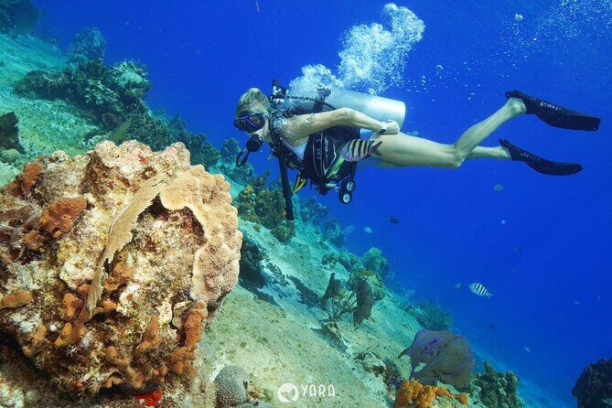 Discover Scuba Diving - Who Will Love This Experience?