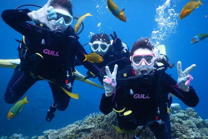 Discover SCUBA Diving 2 DIves Minna, Sesoko , Motobu Okinawa - Introduction