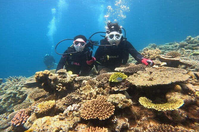 Discover SCUBA Diving 2 DIves Minna, Sesoko , Motobu Okinawa - Key Points