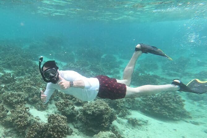 Discover SCUBA Diving 2 DIves Minna, Sesoko , Motobu Okinawa - The Value and Cost
