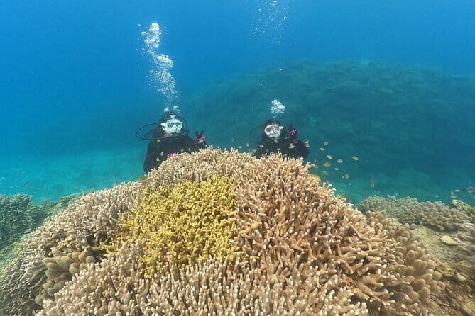 Discover SCUBA Diving 2 DIves Minna, Sesoko , Motobu Okinawa - The Sum Up