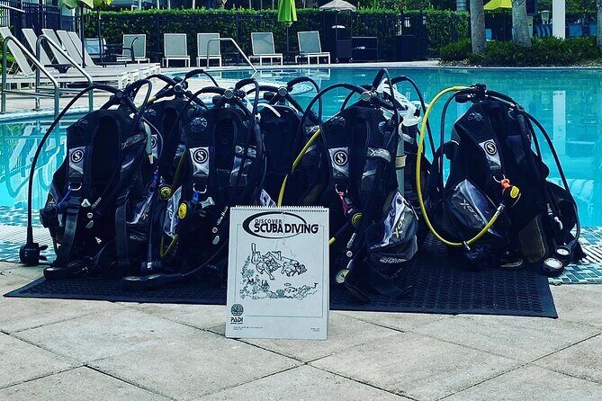 Discover Scuba Diving - A Practical Look at the Experience