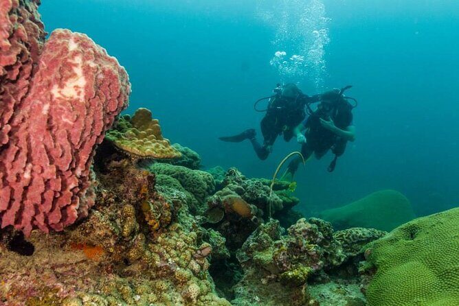 Discover SCUBA Diving - Key Points