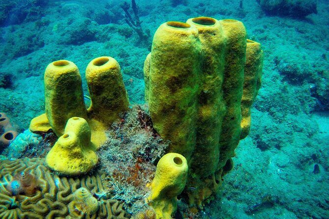 Discover Scuba Diving - Final Thoughts