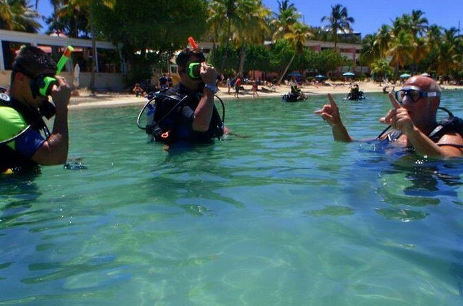 Discover Scuba Diving - A Closer Look at What to Expect