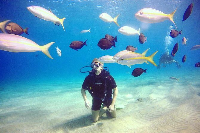 Discover Scuba Diving - Discover Scuba Diving: A Practical Guide to an Unforgettable Underwater Experience