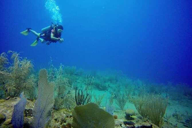Discover Scuba Diving - What to Expect: The Itinerary