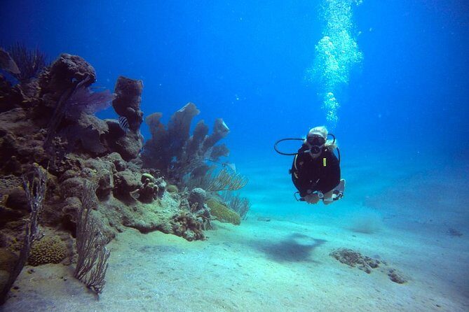 Discover Scuba Diving - Practical Considerations