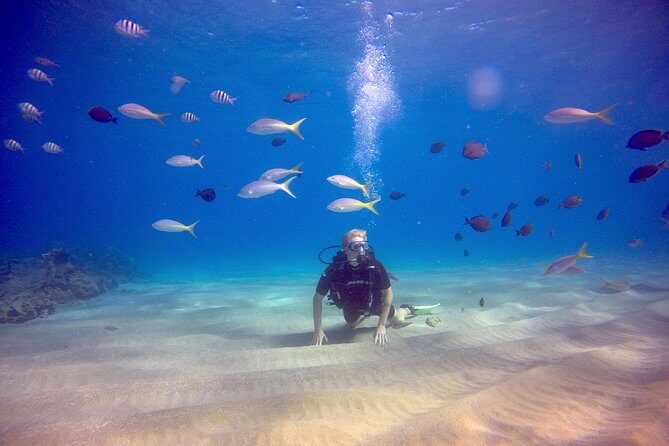 Discover Scuba Diving - The Sum Up