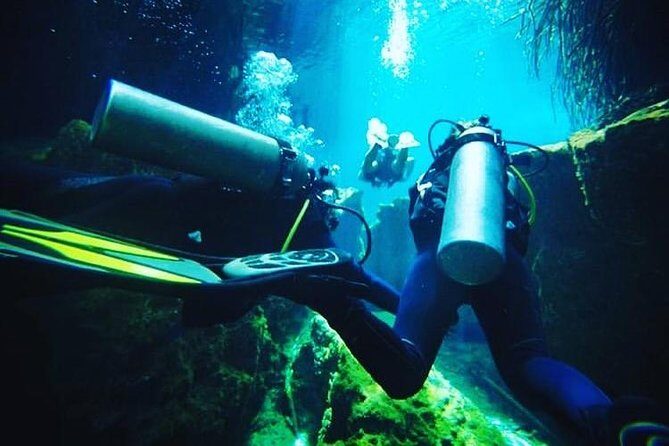 Discover Scuba Diving at Casa Cenote - What to Expect on This Tour
