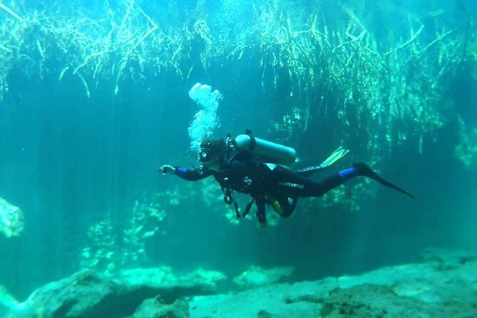 Discover Scuba Diving at Casa Cenote - The Value for the Price