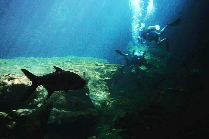 Discover Scuba Diving at Casa Cenote - Who Should Consider This Tour