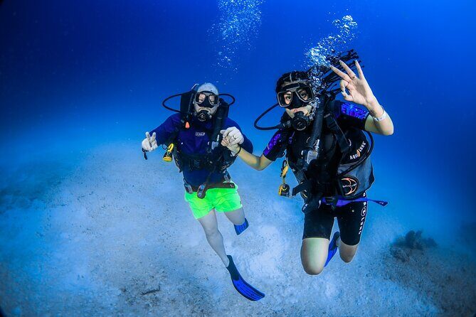 Discover Scuba Diving & Beach Club with Transportation In Riviera Maya - Who Is This Tour Best For?