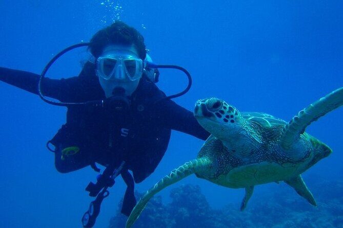 Discover Scuba Diving & Beach Club with Transportation In Riviera Maya - FAQ