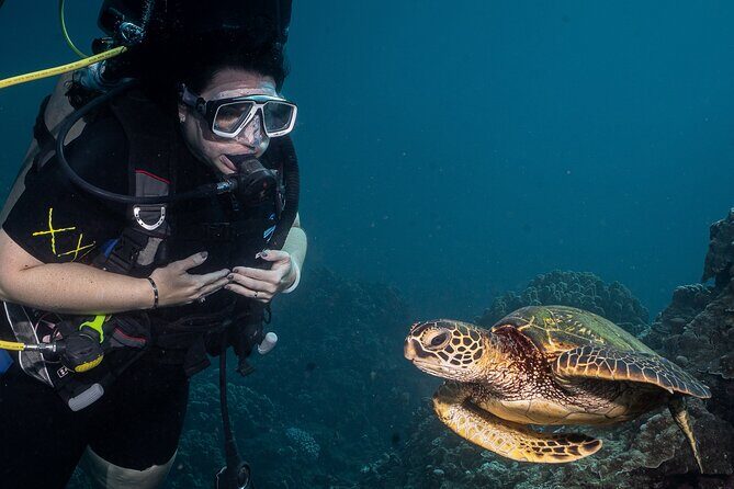 Discover Scuba Diving Class from Lahaina - What Makes This Tour Special?