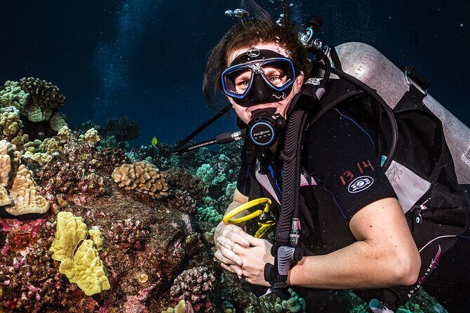 Discover Scuba Diving Class from Lahaina - The Sum Up