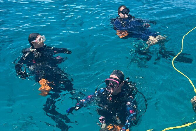 Discover Scuba Diving Course Pool Training Session in Key Largo. - An Honest Look at the Experience