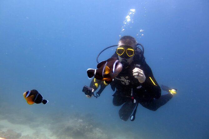 Discover Scuba Diving Experience - What’s Included and What’s Not
