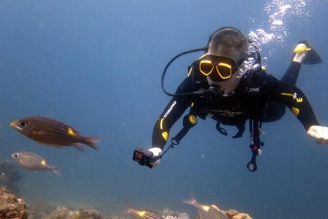 Discover Scuba Diving Experience - Practical Tips for Your Dive