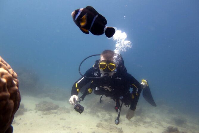 Discover Scuba Diving Experience - FAQ