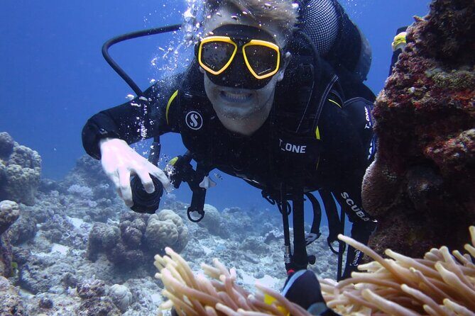 Discover Scuba Diving Experience- Bel Ombre - Itinerary Breakdown: What to Expect