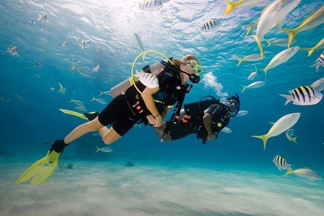 Discover Scuba Diving Experience - An Introduction to the Mauritius Underwater World