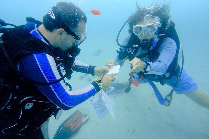 Discover Scuba Diving from a Fishing Village - The Experience Provider: QTours.om