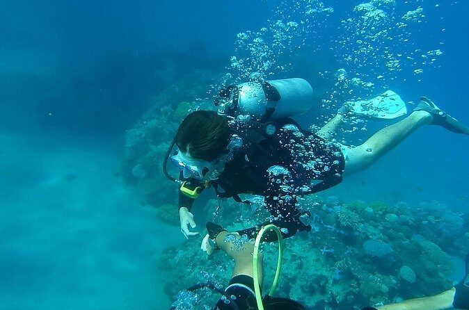 Discover Scuba Diving From Ocho Rios - The Practical Side: Logistics and Details