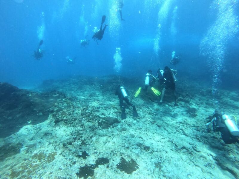 Discover Scuba Diving : Hikkaduwa : Scuba Diving - FAQ