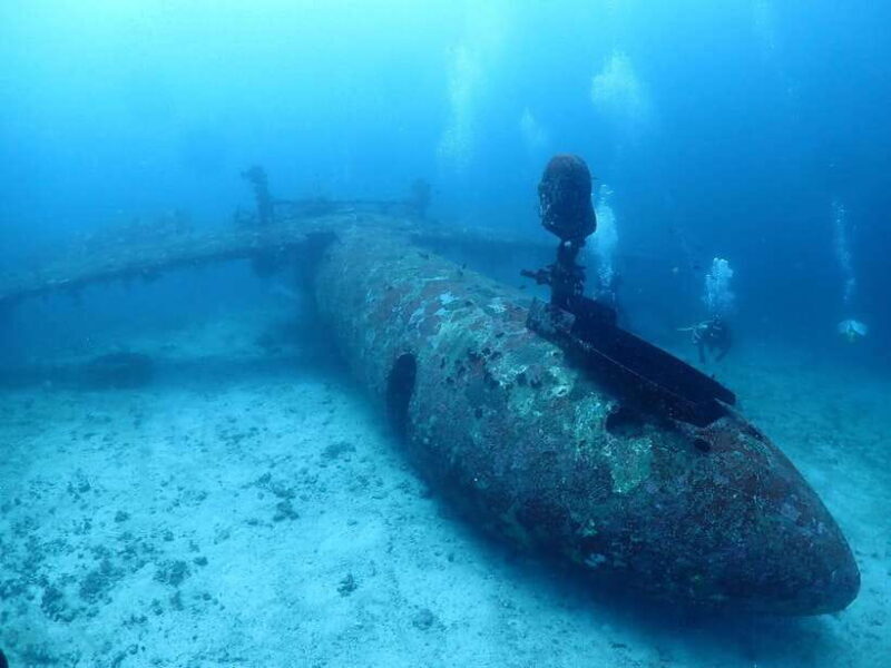 Discover Scuba Diving in Boracay - What You’ll Love About the Gear and Safety