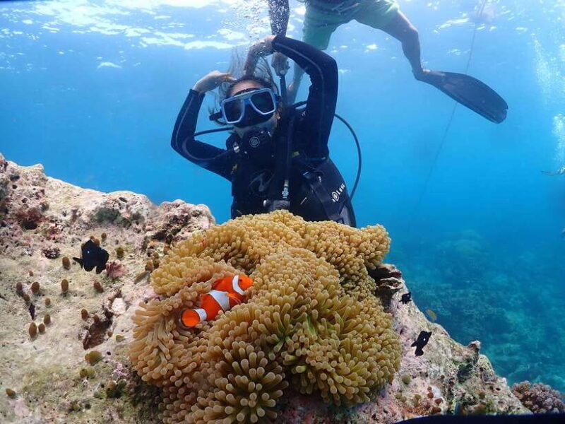 Discover Scuba Diving in Boracay - Final Thoughts