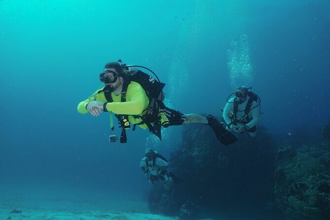 Discover Scuba Diving in Cozumel - Authentic Feedback from Travelers