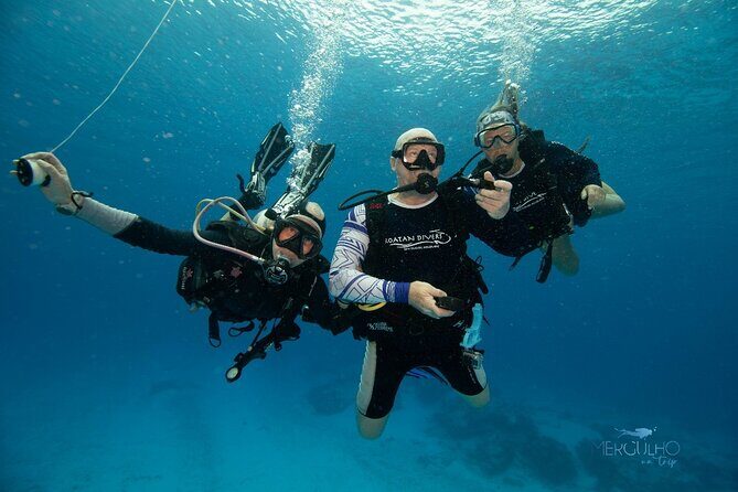 Discover Scuba Diving in Cozumel - FAQ