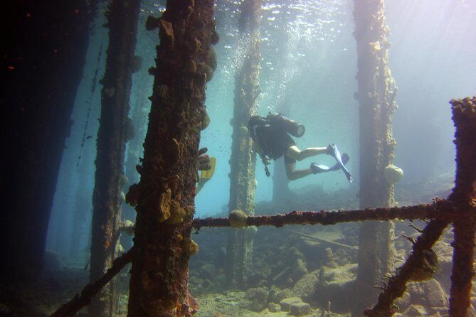 Discover Scuba Diving in Curacao - The Sum Up: Who Will Love This Tour?