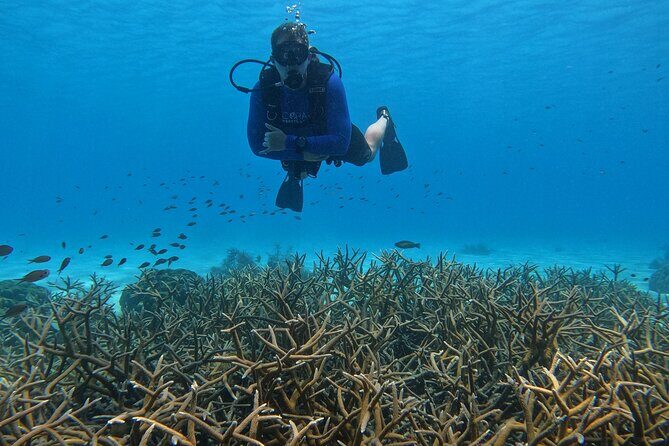 Discover Scuba Diving in Diver's Paradise! - Who Should Consider This Tour?