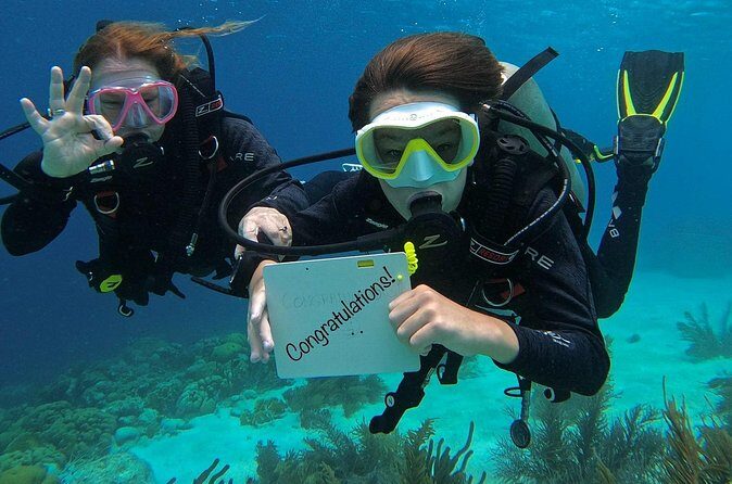 Discover Scuba Diving in Diver's Paradise! - Final Thoughts