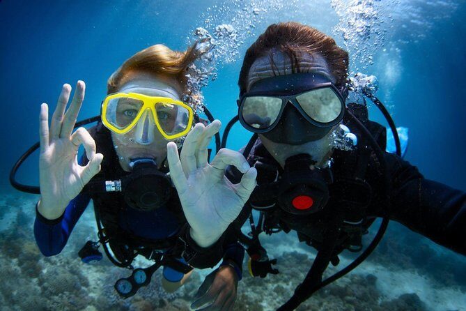 Discover Scuba Diving in Dubai - Exploring Dubai’s Underwater World