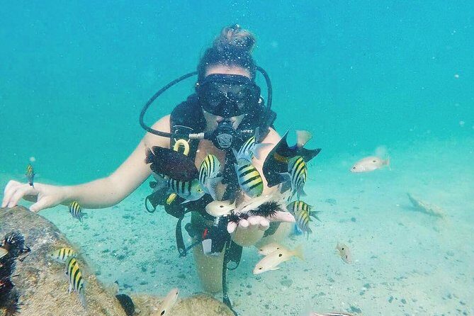 Discover Scuba Diving in Dubai - Is This Tour for You?