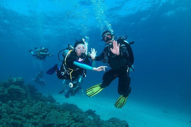 Discover Scuba Diving in Koh Lanta, Thailand - What Makes the Locations Special?